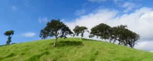 Preview wallpaper hill, trees, grass, landscape, nature