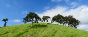 Preview wallpaper hill, trees, grass, landscape, nature