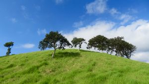 Preview wallpaper hill, trees, grass, landscape, nature