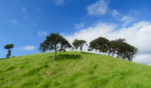 Preview wallpaper hill, trees, grass, landscape, nature