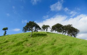 Preview wallpaper hill, trees, grass, landscape, nature
