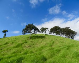 Preview wallpaper hill, trees, grass, landscape, nature