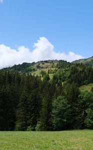 Preview wallpaper hill, trees, grass, landscape