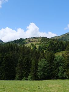 Preview wallpaper hill, trees, grass, landscape