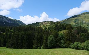 Preview wallpaper hill, trees, grass, landscape