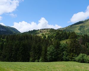 Preview wallpaper hill, trees, grass, landscape