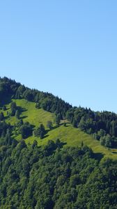 Preview wallpaper hill, trees, greenery, nature