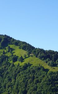 Preview wallpaper hill, trees, greenery, nature