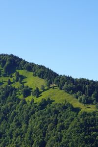 Preview wallpaper hill, trees, greenery, nature