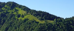 Preview wallpaper hill, trees, greenery, nature