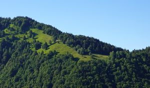 Preview wallpaper hill, trees, greenery, nature