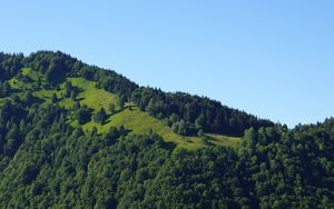 Preview wallpaper hill, trees, greenery, nature