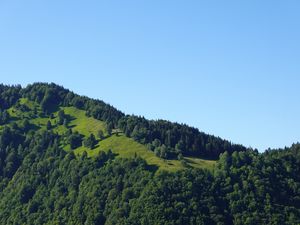 Preview wallpaper hill, trees, greenery, nature