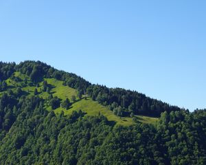 Preview wallpaper hill, trees, greenery, nature