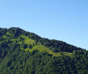 Preview wallpaper hill, trees, greenery, nature