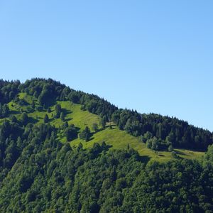 Preview wallpaper hill, trees, greenery, nature