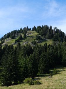 Preview wallpaper hill, trees, landscape, nature, sky