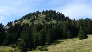 Preview wallpaper hill, trees, landscape, nature, sky