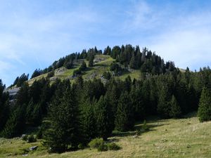 Preview wallpaper hill, trees, landscape, nature, sky