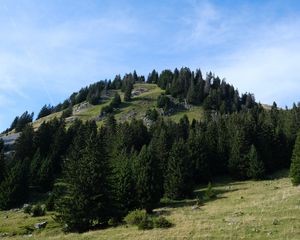 Preview wallpaper hill, trees, landscape, nature, sky