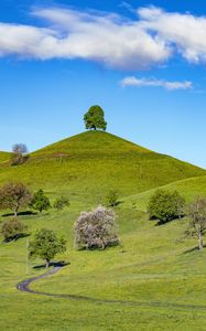 Preview wallpaper hill, trees, path, grass, sky