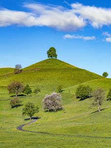 Preview wallpaper hill, trees, path, grass, sky