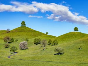 Preview wallpaper hill, trees, path, grass, sky