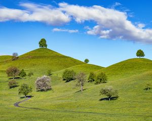 Preview wallpaper hill, trees, path, grass, sky