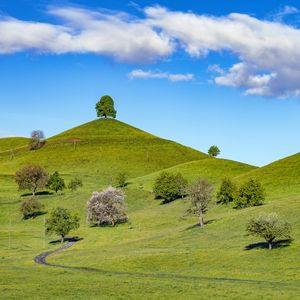 Preview wallpaper hill, trees, path, grass, sky