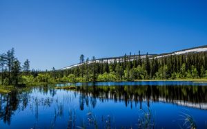 Preview wallpaper hill, trees, reflection