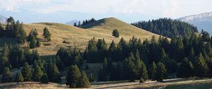 Preview wallpaper hill, trees, sky, nature