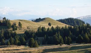 Preview wallpaper hill, trees, sky, nature