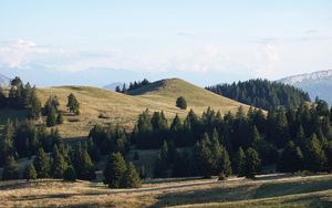 Preview wallpaper hill, trees, sky, nature