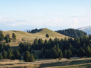 Preview wallpaper hill, trees, sky, nature