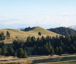 Preview wallpaper hill, trees, sky, nature