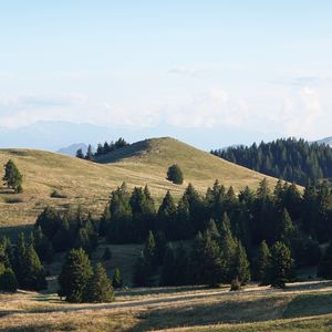 Preview wallpaper hill, trees, sky, nature