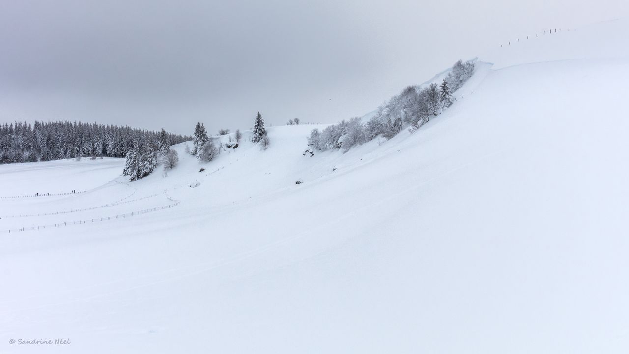 Wallpaper hill, trees, snow, winter