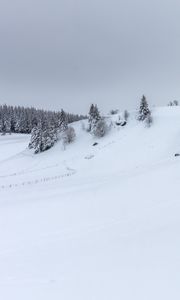 Preview wallpaper hill, trees, snow, winter