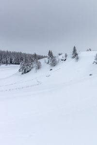 Preview wallpaper hill, trees, snow, winter