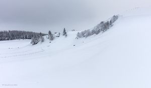 Preview wallpaper hill, trees, snow, winter