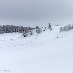 Preview wallpaper hill, trees, snow, winter