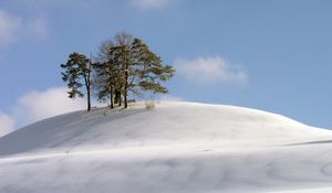 Preview wallpaper hill, trees, snow, blizzard, wind, cold