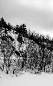 Preview wallpaper hill, trees, snow, winter, nature, black and white