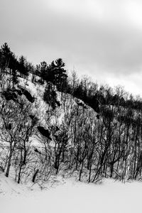 Preview wallpaper hill, trees, snow, winter, nature, black and white