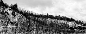 Preview wallpaper hill, trees, snow, winter, nature, black and white