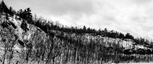 Preview wallpaper hill, trees, snow, winter, nature, black and white