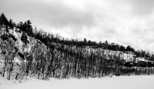 Preview wallpaper hill, trees, snow, winter, nature, black and white