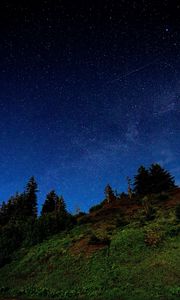 Preview wallpaper hill, trees, starry sky, stars, night, dark