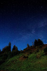 Preview wallpaper hill, trees, starry sky, stars, night, dark
