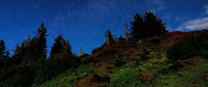 Preview wallpaper hill, trees, starry sky, stars, night, dark